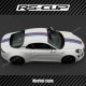 Kit sticker triple bandes 27 cm de large pour ALPINE A110