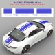 Kit sticker triple bandes 27 cm de large pour ALPINE A110